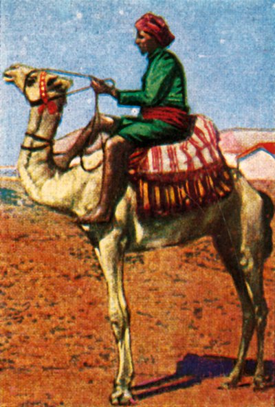 Correio entregue por camelo, Arábia, c1928. de Unbekannt