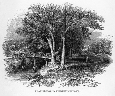 Rezar a ponte em Fridley Meadows, Surrey, século XIX de Unbekannt