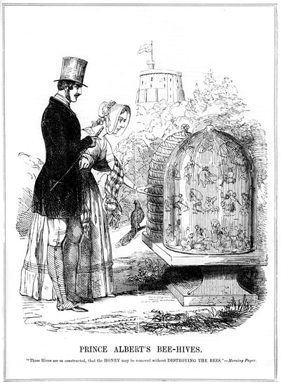 Bee-Hives do príncipe Alberts, 1843 de Unbekannt