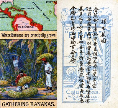 Principais áreas de cultivo de bananas, da série de cartões de cigarro "Produtos do Mundo" produzidos pela Wills Cigarros "Pirata" para o mercado na China de Unbekannt
