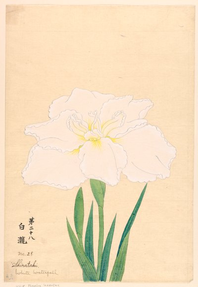 Impressão, Cachoeira Branca (Shirataki), No. 28 de Unbekannt