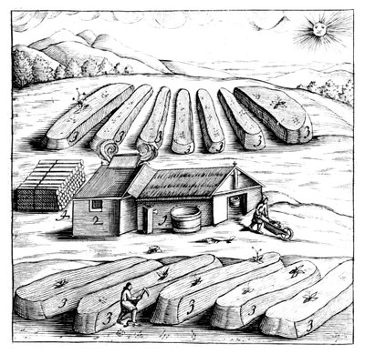 Produção de nitro de salitre, nitrato de potássio ou KN03, 1683 de Unbekannt