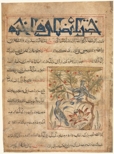 Qualidades de Ringdoves retomadas de um Manafi al-Hayawan Sobre a Utilidade dos Animais, c. 1300 de Unbekannt