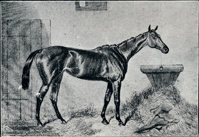 Rainha Bertha, século XIX, 1911 de Unbekannt