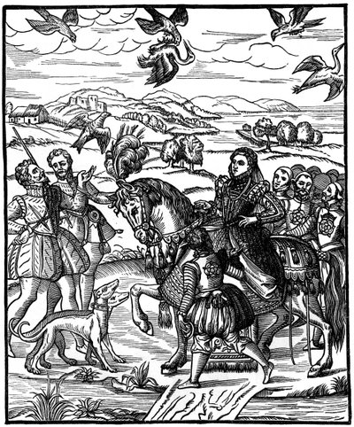 Rainha Elizabeth I Hawk, 1575, 1910 de Unbekannt