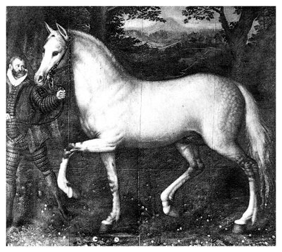 Rainha Elizabeth É cavalo, 1896 de Unbekannt