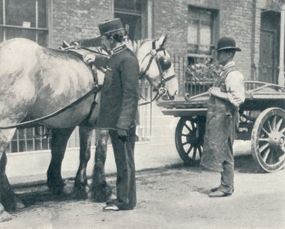 Inspetor da RSPCA examinando um cavalo, c1903 1903 de Unbekannt