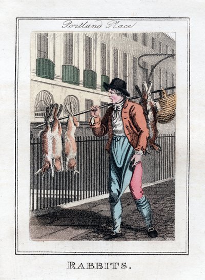 Coelhos, Portland Place, Londres, 1805 de Unbekannt