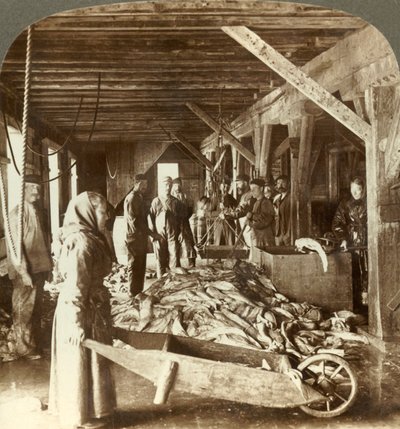 Recebendo peixes de embarcações marítimas e embalando para exportação - armazém de peixes, Aalesund, Noruega, c1905. de Unbekannt