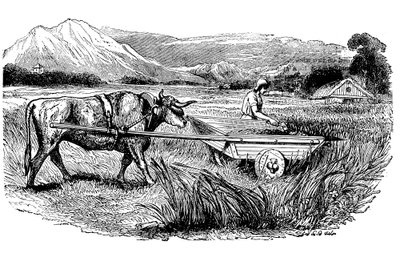 Reconstrução do carrinho de colheita romano, conforme descrito por Pliny, Engraving, 1860 de Unbekannt