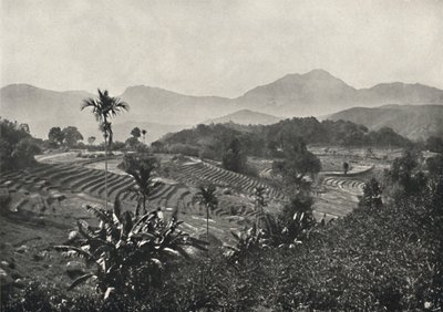 Campo de viagem em Terrasen ancorado, 1926 de Unbekannt