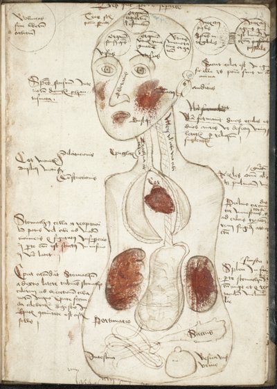 Representação de uma teoria aristotélica da consciência De: De corpore et anima de Unbekannt
