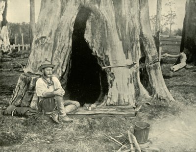 Rest, 1901. de Unbekannt