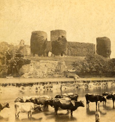 Rhuddlan - castelo do rio, c1900. de Unbekannt