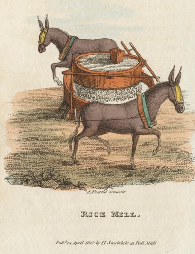 Moinho de Arroz, 1813 de Unbekannt