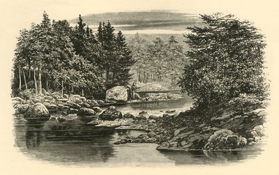 Cena do rio, Langdale, c1890. de Unbekannt