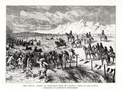 Rodeio, América do Sul, 1877 de Unbekannt