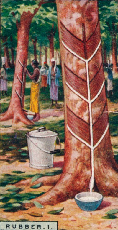 Borracha, 1. Batendo nas Árvores, Ceilão, 1928 de Unbekannt