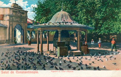 Salvação de Constantinopla - pombos na corte de Eyoub, c1900 de Unbekannt