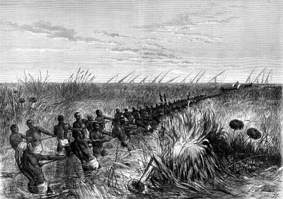 Barco de Samuel Bakers rebocado através da grama do rio, 1864 1874 de Unbekannt