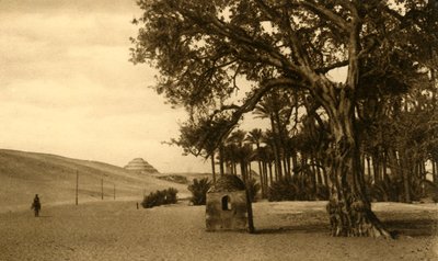Saqqara - A pirâmide de degraus vista do Sycomore, c1918-c1939. de Unbekannt