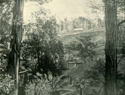 Cena no Upper Gembrook, Victoria, 1901. de Unbekannt