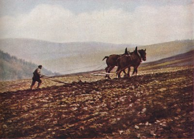 Escócia, c1930s de Unbekannt
