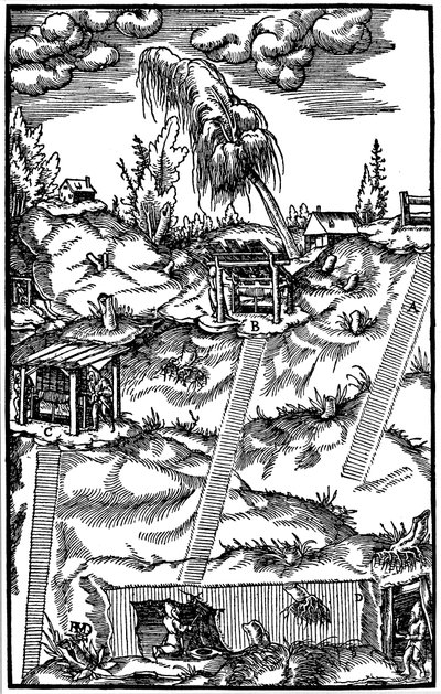 Vista secional de uma mina alemã, 1556 de Unbekannt