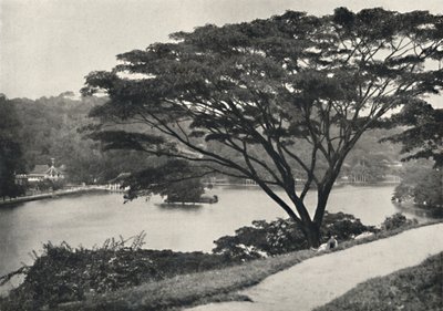 Lago, templo do dente sagrado e biblioteca em Kandy, vista a leste da Victoria Drive, 192 de Unbekannt