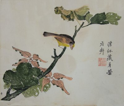 Sementes e Aleurites Cordata: Página do Manual do Jardim de Sementes de Mostarda de..., 1782, 2ª edição. de Unbekannt