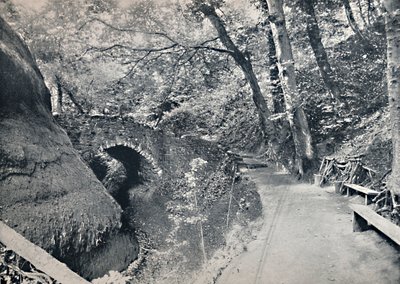 Shanklin - O Chine, 1895 de Unbekannt