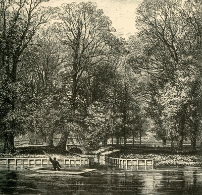 Ponte dos carneiros e sexto banco do formulário, 1911. de Unbekannt