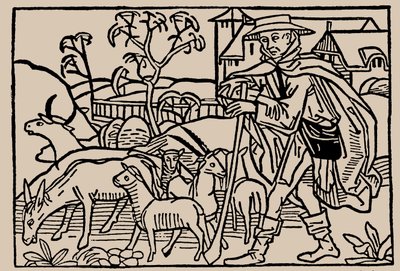 Pastor. Do espelho de seres humanos vida por Rodrigo Zamora, 1479. de Unbekannt