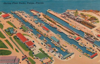 Docas da frota de camarão, Tampa, Flórida, 1940 de Unbekannt