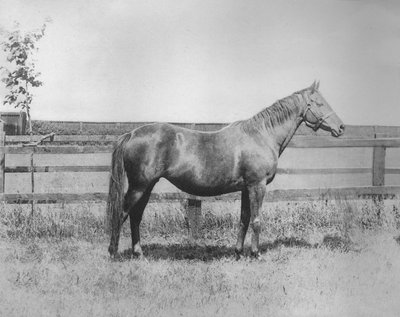 Senhorita, 1911 de Unbekannt