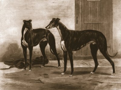 Simonian e Fullerton, c1891, 1911. de Unbekannt