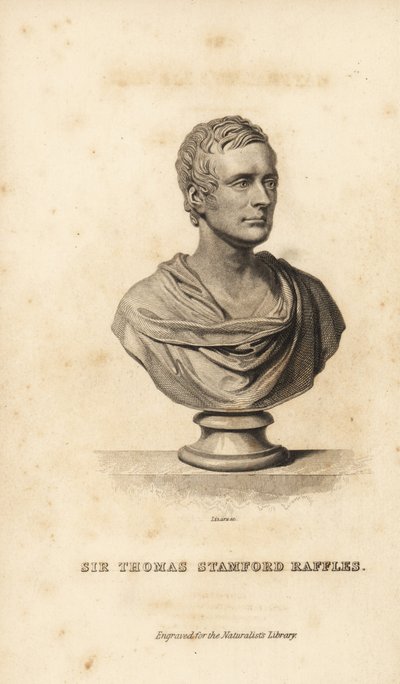 Sir Thomas Stanford Raffles, estadista britânico, escritor e naturalista. de Unbekannt