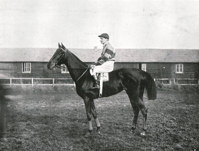 Arranha-céu, 1911. de Unbekannt