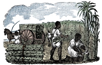 Escravos que colhem cana-de-açúcar na Louisiana, 1833 de Unbekannt
