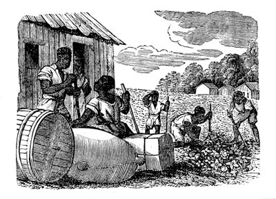 Escravos trabalhando em uma plantação de tabaco, 1833 de Unbekannt
