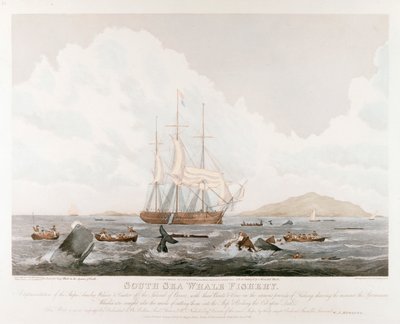 Pesca da baleia do mar sul, 1825 de Unbekannt