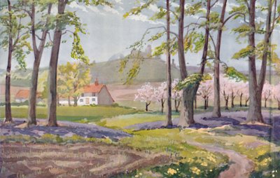 Primavera - As mudanças físicas, químicas e biológicas provocadas pelo sol durante o ano de 1935. de Unbekannt