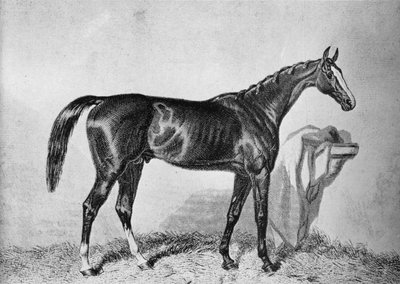 St. Albans, século c19th, 1911 de Unbekannt