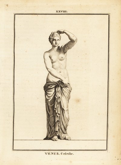Estátua de Vénus Celeste, deusa romana do amor, da beleza, do sexo e da fertilidade de Unbekannt