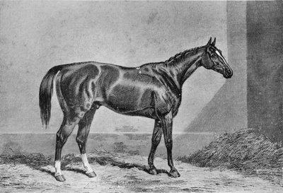 Stockwell, 1849-1871, 1911 de Unbekannt