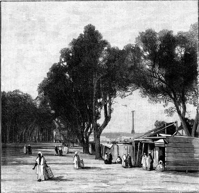Cena de rua com o pilar de Pompeu à distância, Alexandria, Egito, 1900 de Unbekannt