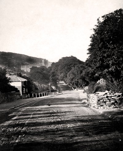 Rua através de um vale em Hastings, Sussex, início do século XX de Unbekannt