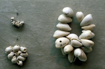 Cordas de conchas de Cowrie de Unbekannt