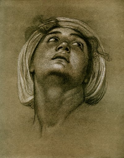 Estudo de uma cabeça, 1901 de Unbekannt