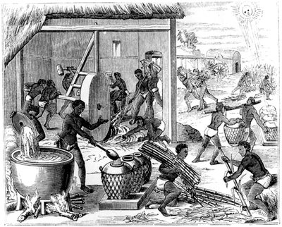 Produção de açúcar, 1873 de Unbekannt